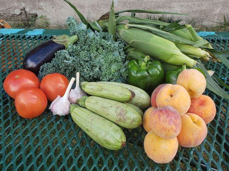 Growing Health® to Fill the Grocery Gap!